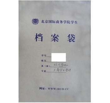 大學檔案仿制